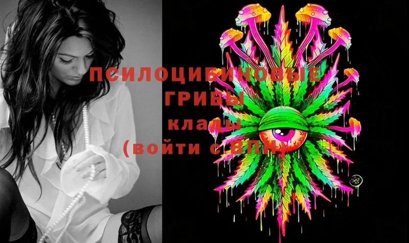 Галлюциногенные грибы Magic Shrooms  Хабаровск 